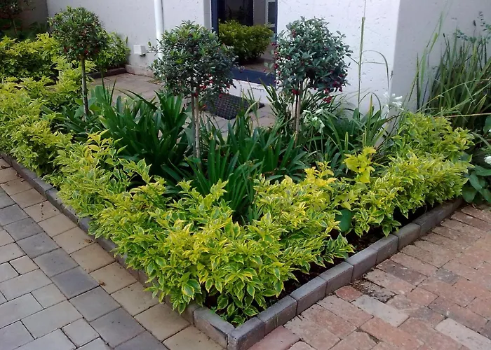Rosebank Lodge Guesthouse By Claires