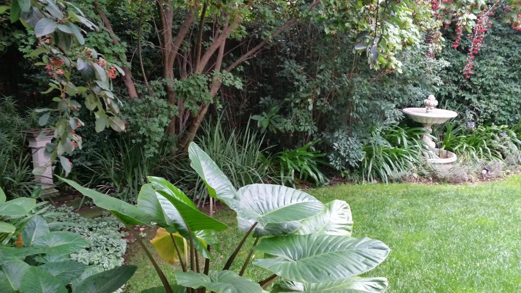 Rosebank By Claires Gasthuis 2*
